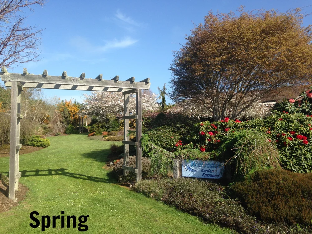 その他 garden scape Gardenscapes - Retro 8bit Shop